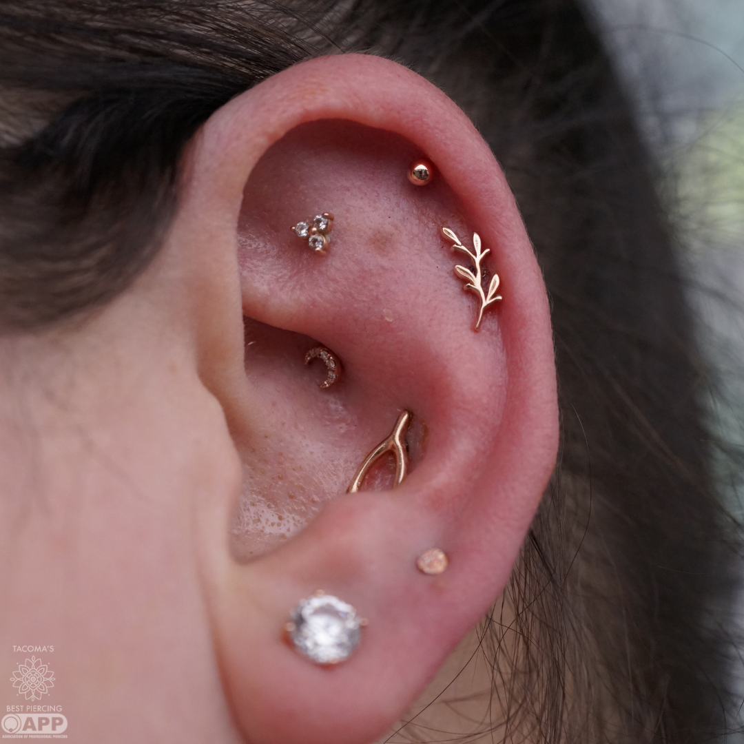 An example of an ear piercing set An example of an ear piercing set